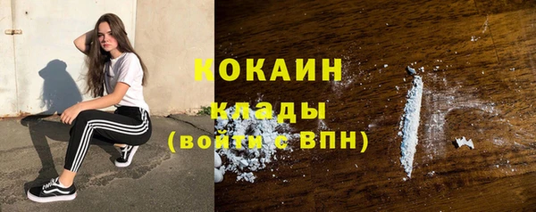 сатива Надым