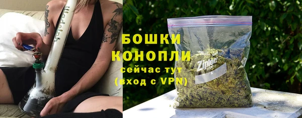 сатива Надым