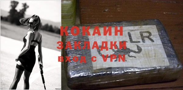 сатива Надым